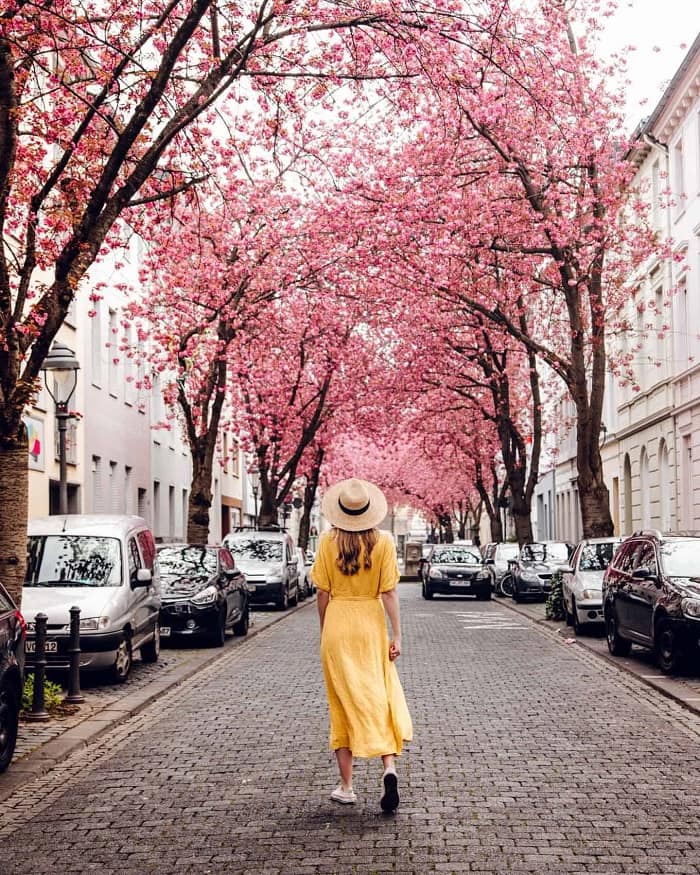 Kinh nghiệm du lịch Đức mùa xuân nên đến Bonn