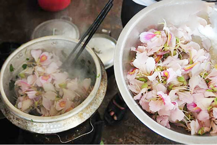 Du lịch Mộc Châu tháng 3 có gì đặc sắc - Hoa ban còn được coi là rau sạch