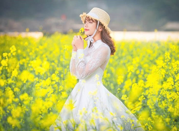 Du lịch Mộc Châu tháng 3 có gì đặc sắc - Hoa cải vàng bình dị