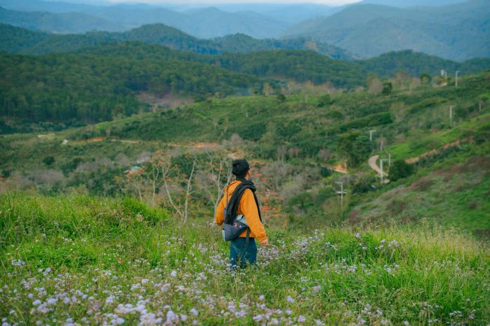 đường đi đồi chè Cầu Đất 