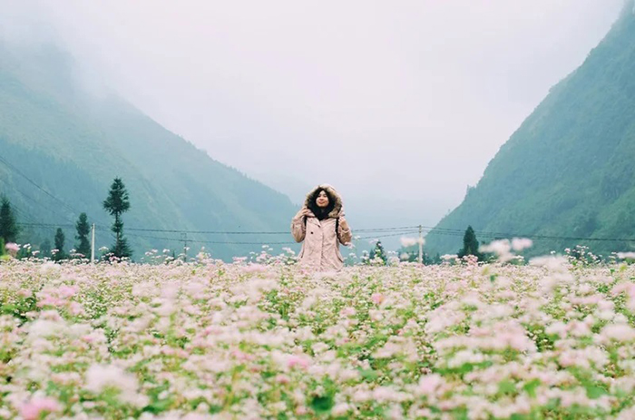 Kinh nghiệm du lịch Hà Giang dịp Tết - Khám phá vẻ đẹp vùng đất Hà Giang