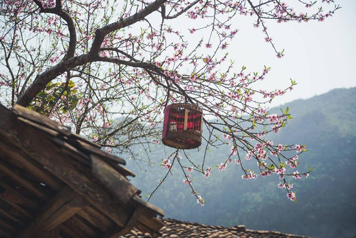  Kinh nghiệm du lịch Hà Giang dịp Tết - Hà Giang dịp Tết mang vẻ đẹp riêng