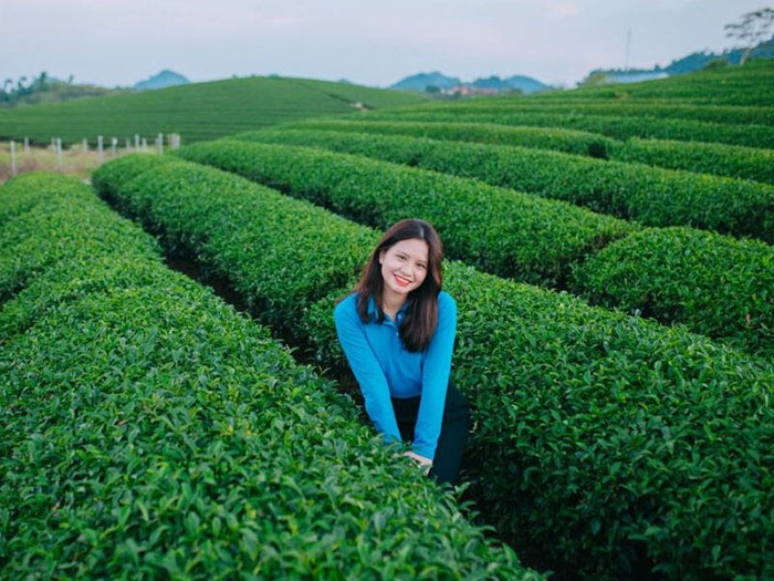 Du lịch Mộc Châu tháng 3 có gì đặc sắc - Không gian bạt ngàn của những đồi chè