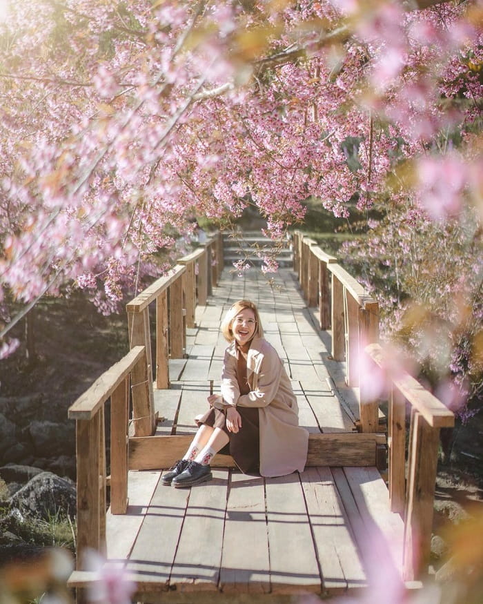 Kinh nghiệm du lịch Chiang Mai mùa xuân