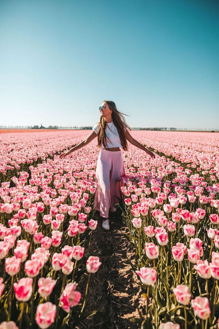 Kinh nghiệm du lịch Hà Lan mùa xuân