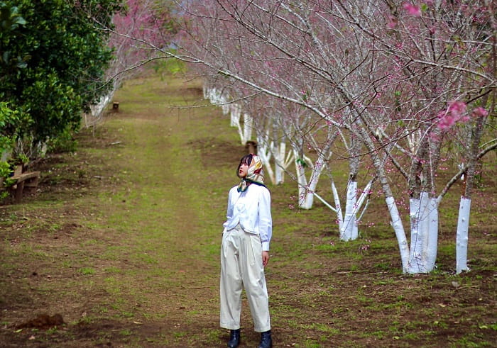 Măng Đen là địa điểm du xuân ở Kon Tum hấp dẫn