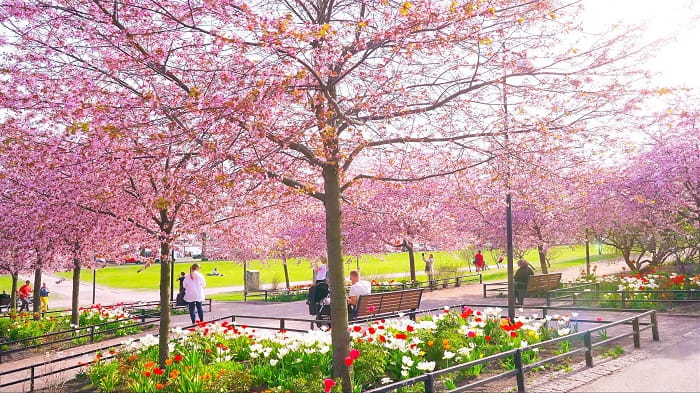 Thời tiết mùa xuân ở châu Âu