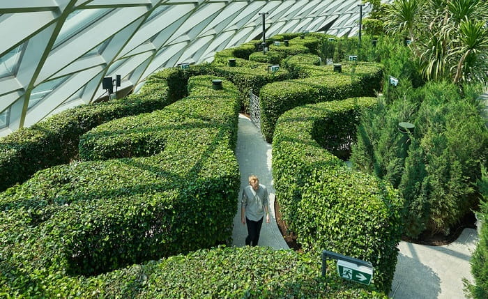 Khám phá sân bay Changi Singapore