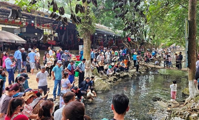 Suối cá thần Cẩm Lương là địa điểm du xuân ở Thanh Hóa 