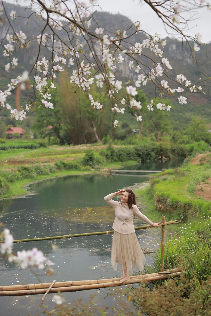 Du lịch Mộc Châu tháng 3 có gì đặc sắc - Tháng 3 hoa ban nở trắng trời 