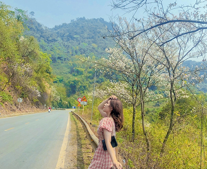 Du lịch Mộc Châu tháng 3 có gì đặc sắc - Thời điểm vàng của mùa xuân