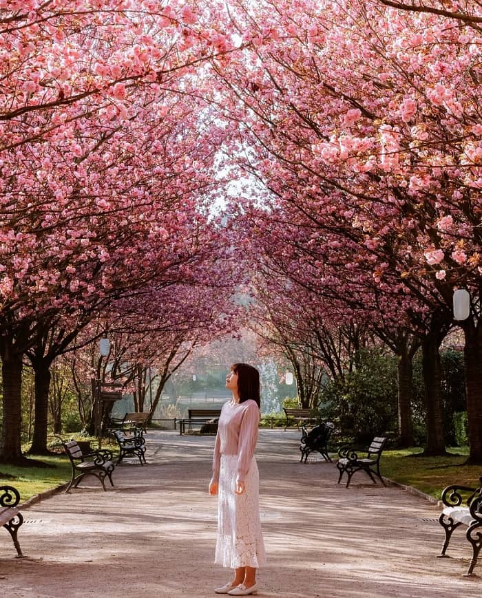 Thời tiết mùa xuân ở châu Âu