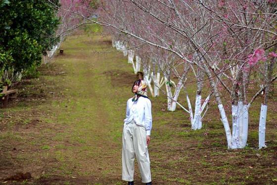 Cháy máy với 7+ địa điểm du xuân ở Kon Tum sang - xịn - mịn dịp Tết