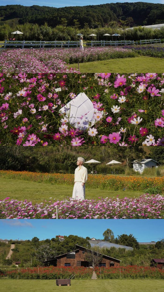  điểm check-in mới 2026 ở Đà Lạt Thung Mơ Garden 