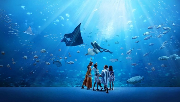 Tham quan thủy cung Sea Aquarium là hoạt động độc đáo tại đảo Sentosa
