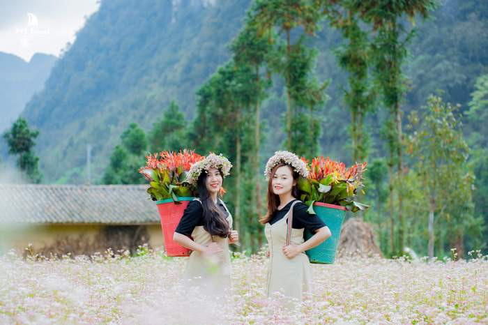 Kinh nghiệm du lịch Hà Giang dịp Tết - Trải nghiệm khác biệt khi đi Hà Giang