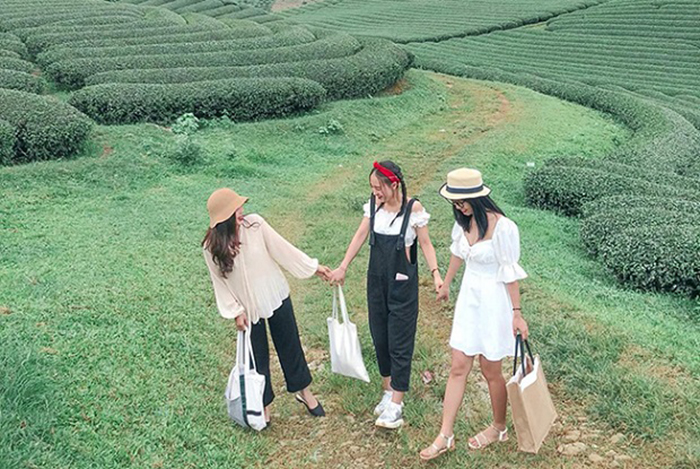 Du lịch Mộc Châu tháng 3 có gì đặc sắc - bầu không khí trong lành của Mộc Châu