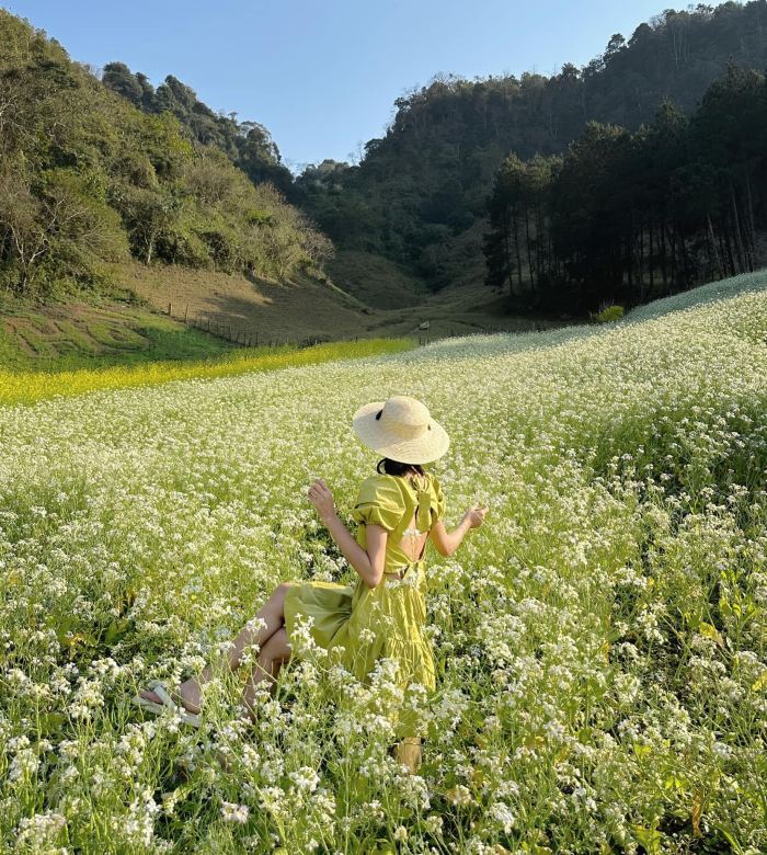 sống ảo vườn hoa Tết đẹp ở Huế 2026  