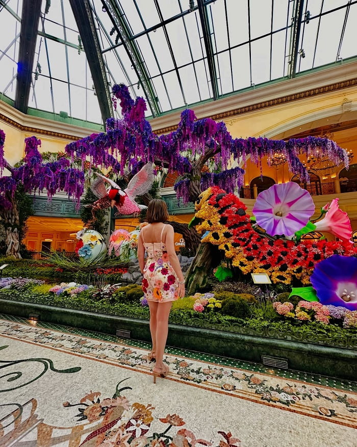Du lịch Las Vegas mùa xuân nên Tản bộ giữa những bông hoa tại Vườn ươm Bellagio