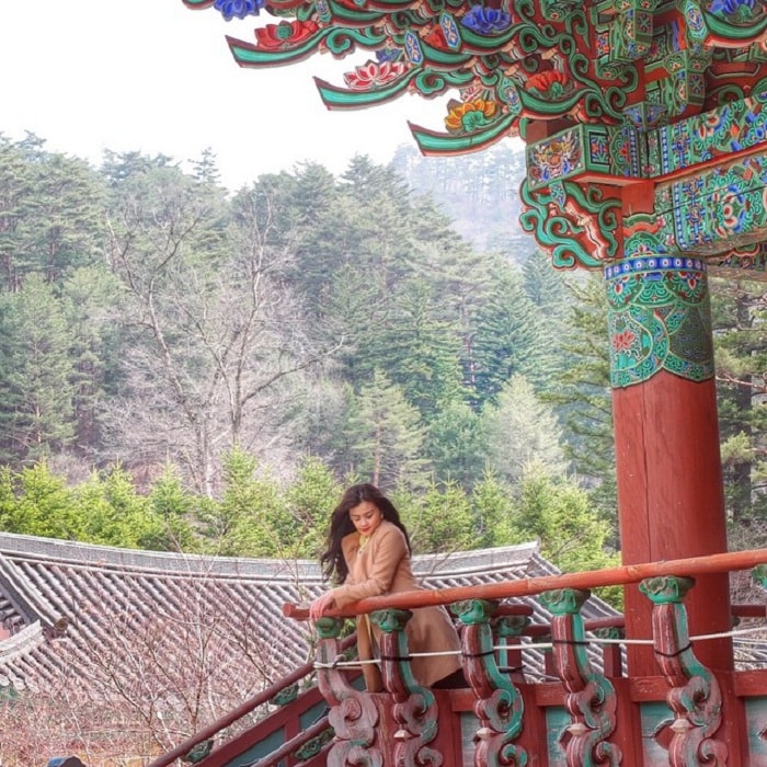 Cẩm nang du lịch Gangwon Hàn Quốc