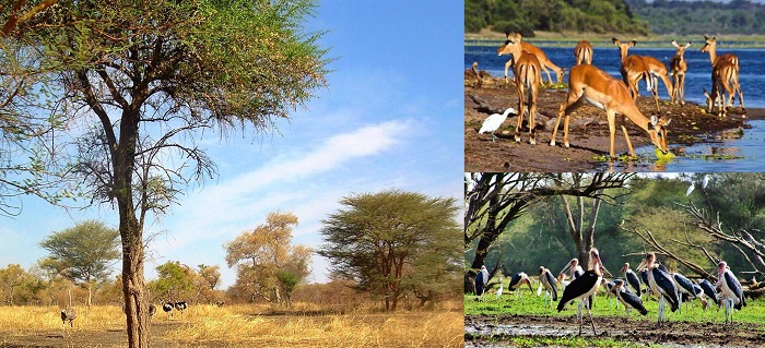 Top 10 địa điểm du lịch Sudan hấp dẫn nhất