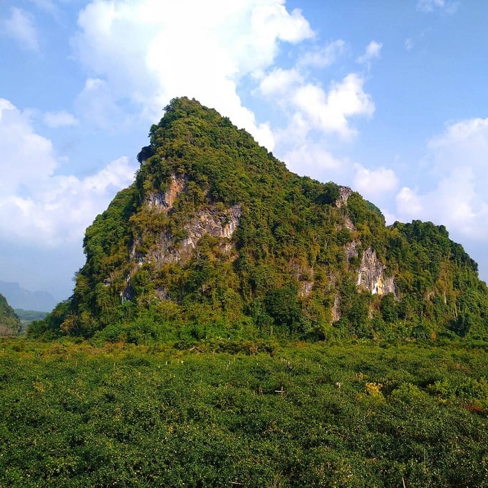 Khám phá vẻ đẹp của động Tiên Tuyên Quang