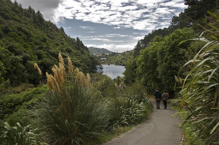 Thỏa thích khám phá các điểm du lịch tại Wellington nổi tiếng