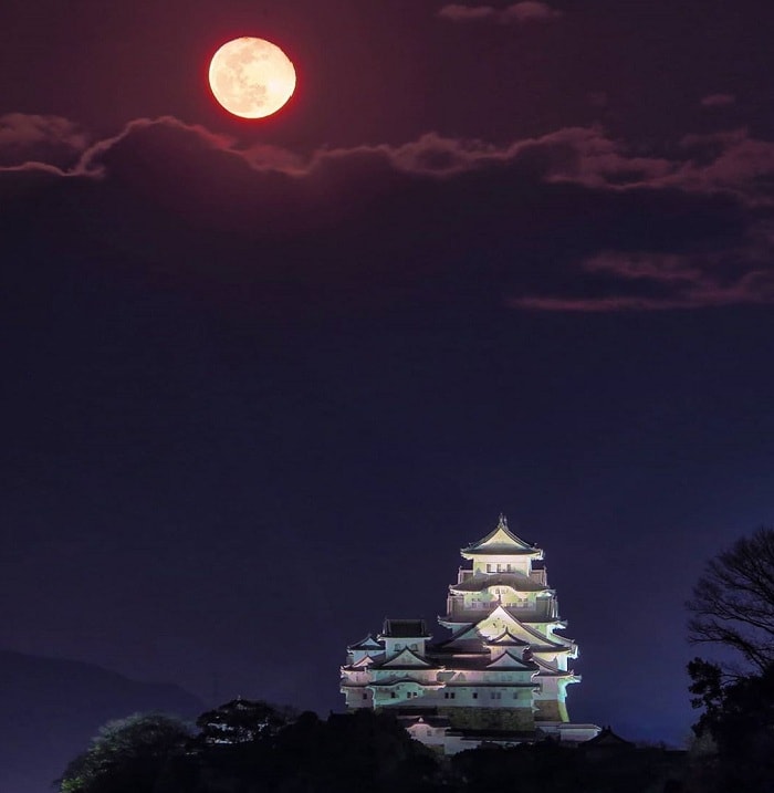 Chiêm ngưỡng vẻ đẹp của lâu đài hạc trắng Himeji Nhật Bản