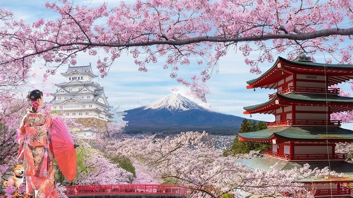 Top 5 các lễ hội Nhật Bản đặc sắc không nên bỏ lỡ