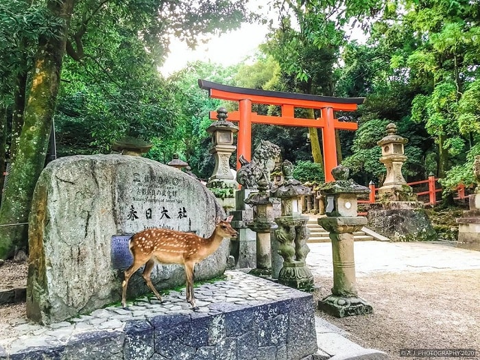 Các ngôi đền cầu duyên nổi tiếng tại Nhật Bản