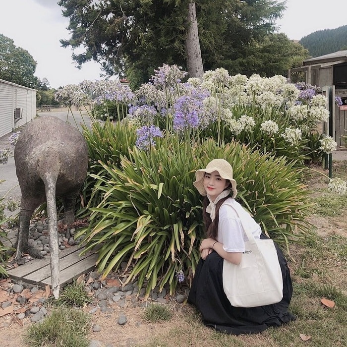 Nông trại Agrodome Rotorua - địa điểm du lịch vui nhộn tại New Zealand