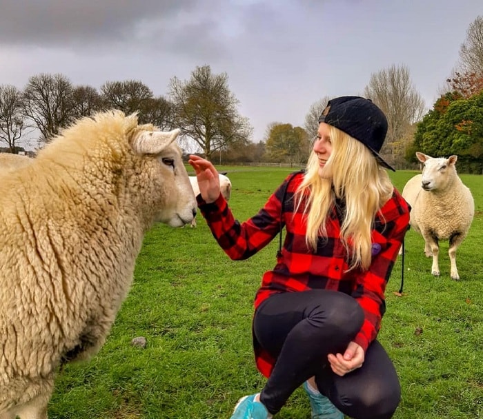 Nông trại Agrodome Rotorua - địa điểm du lịch vui nhộn tại New Zealand