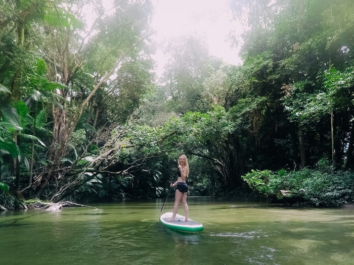 9 trải nghiệm du lịch rừng mưa nhiệt đới Daintree hấp dẫn nhất