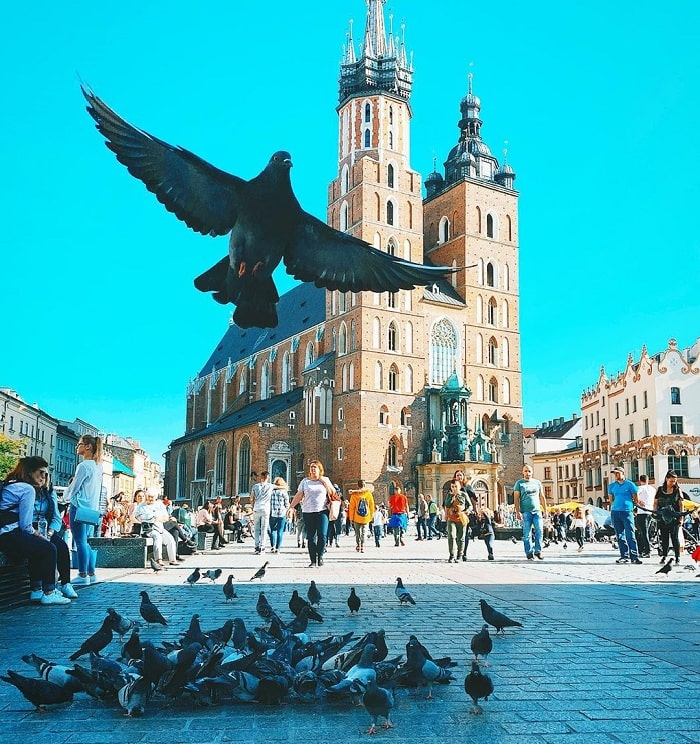 Tham quan 5 thành phố cổ Ba Lan nổi tiếng nhất thế giới 