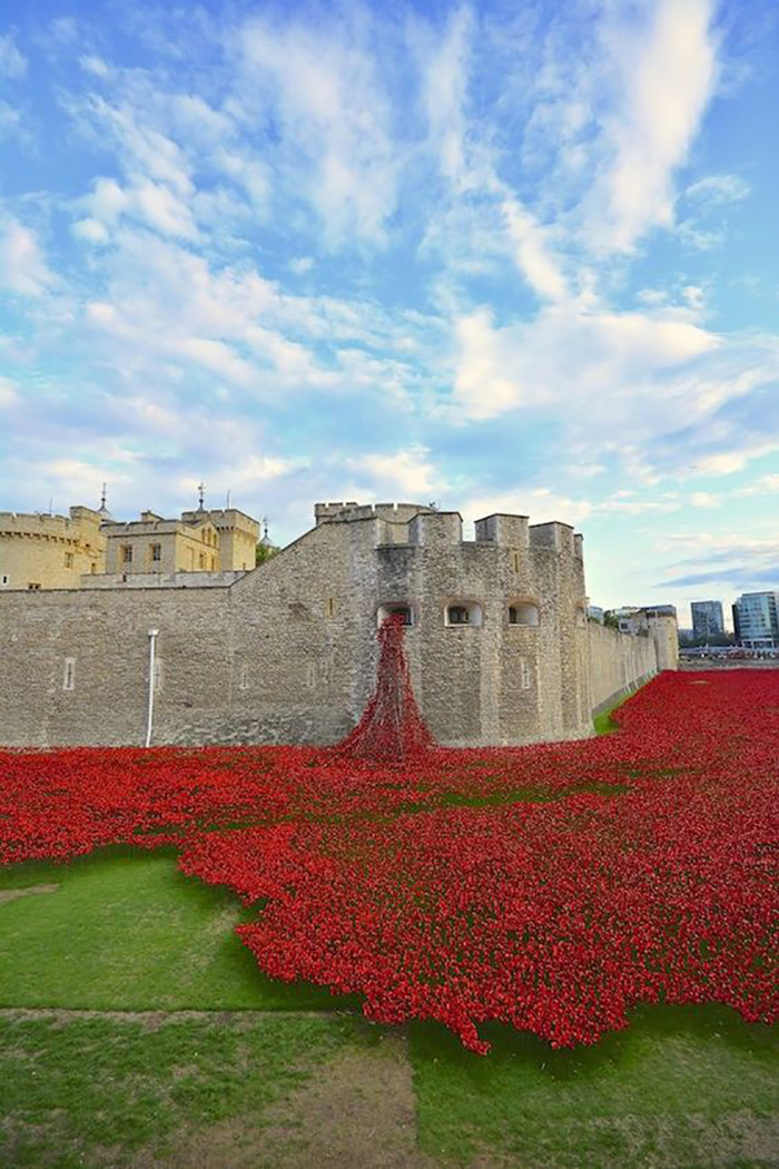 Tòa Tháp London được phủ kín với sắc đỏ hoa poppy kỷ niệm ngày hiệp ước đình chiến chấm dứt Đại chiến thế giới I được ký kết.