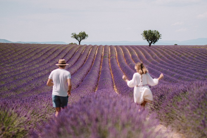 11 địa điểm du lịch vùng Provence để ngắm những cánh đồng hoa oải hương nở rộ