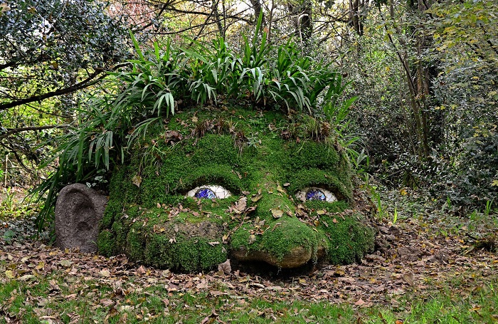 Lost Gardens of Heligan - Những điểm tham quan kỳ lạ ở Anh