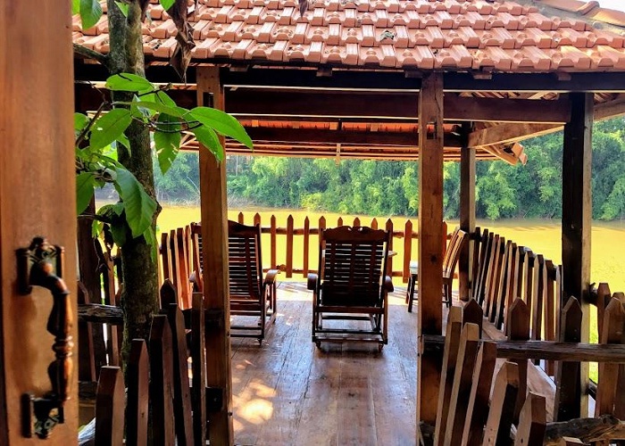 Paradise on the Tree - homestay in Dong Nai attracts many tourists