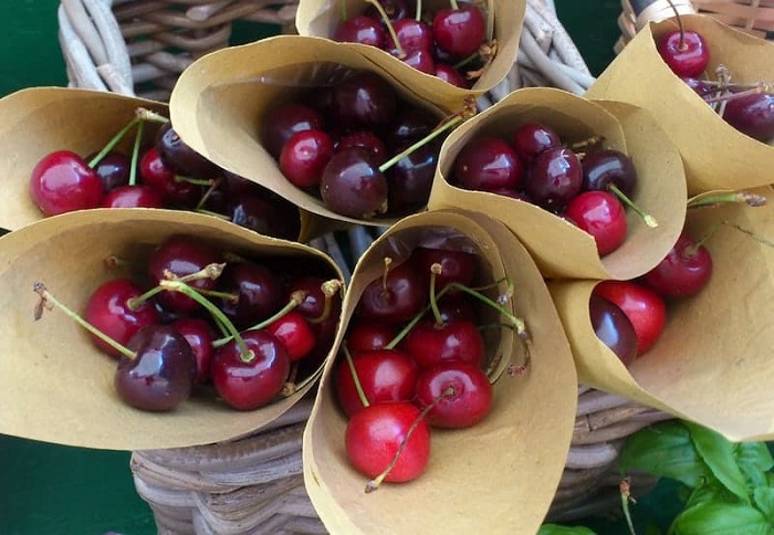 Những quả cherry chín mọng ở Cinque Terre - Ẩm thực vùng Cinque Terre