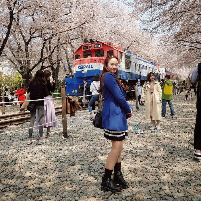 du lịch Hàn Quốc tháng 4 - lễ hội hoa anh đào Jinhae