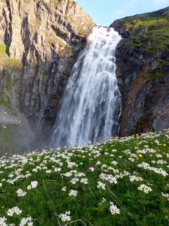  Thác nước Engstligenalp - Những điểm ngắm hoa mùa xuân ở Thụy Sĩ
