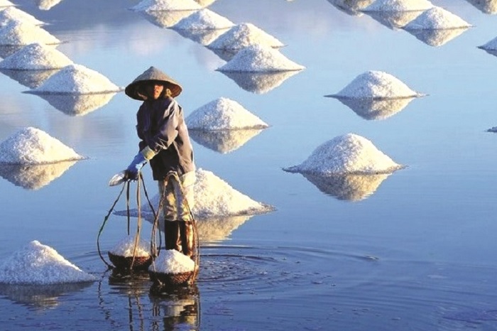 từng đụn muối trắng - điểm nhấn trên Đồng muối Sa Huỳnh Quảng Ngãi