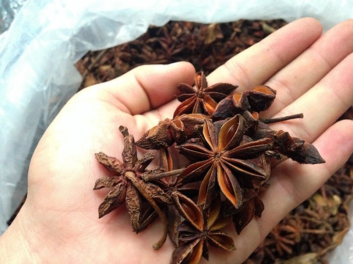 Buy tourist gifts from Lang Son - anise