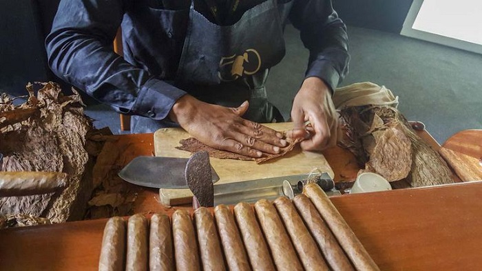 Tìm hiểu về xì gà Cuba và quy trình sản xuất ra xì gà