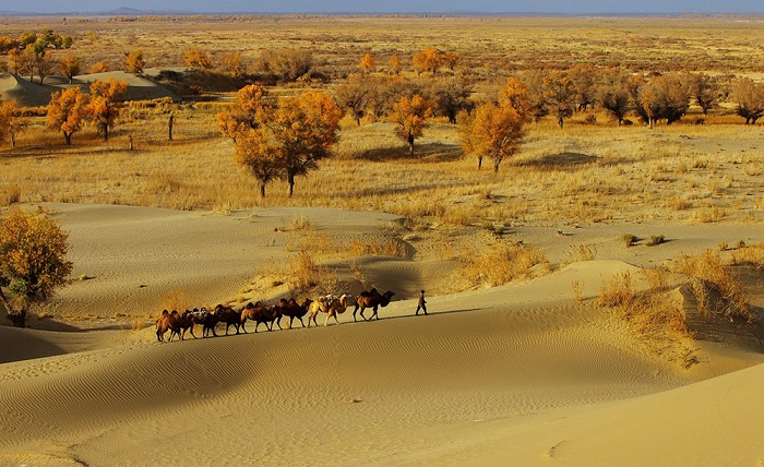 Sa mạc Taklamakan - một trong những sa mạc nổi tiếng ở Trung Quốc rộng lớn 
