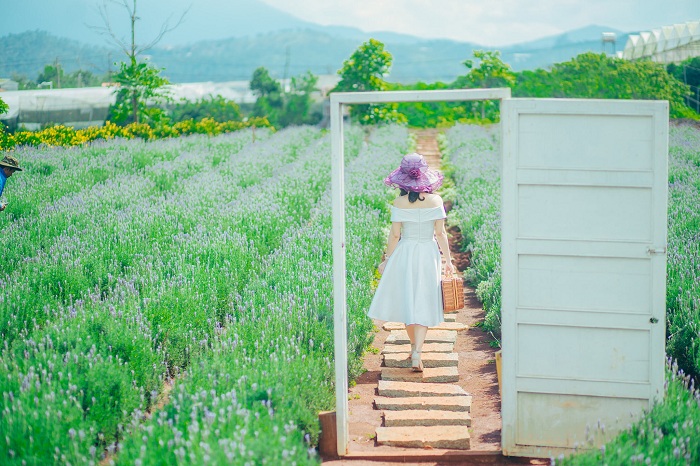 Experience discovering Lavender Bags of Love for Da Lat