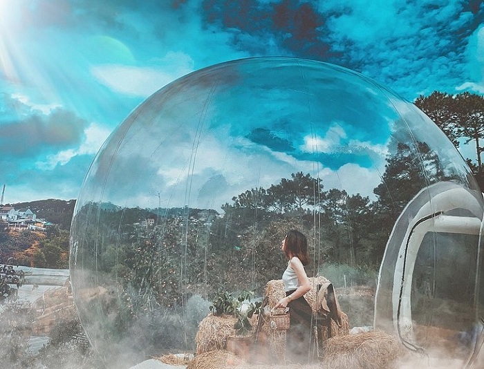 Tom's rose garden has one of the most beautiful bubble rooms in Vietnam