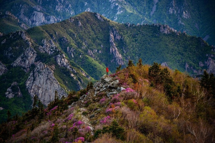 Cảnh đẹp trên núi Seorak Hàn Quốc 