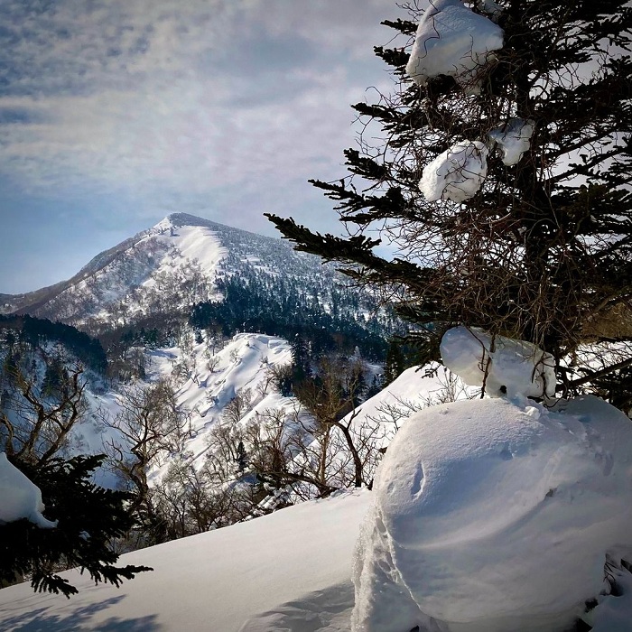 Vẻ đẹp của núi tuyết Zao Nhật Bản 