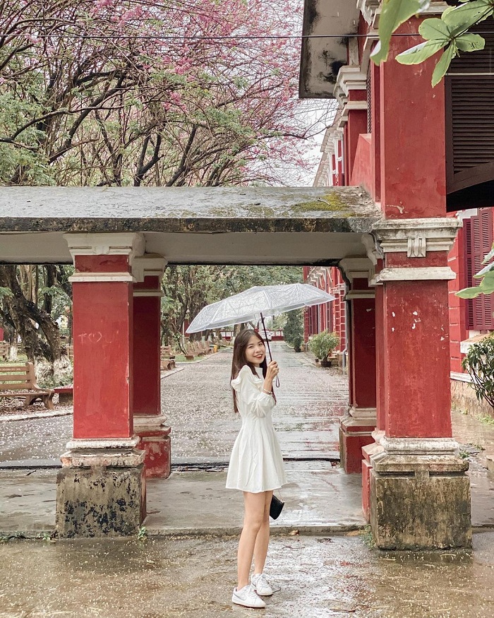 Quốc Học Huế là trường học đẹp ở Việt Nam